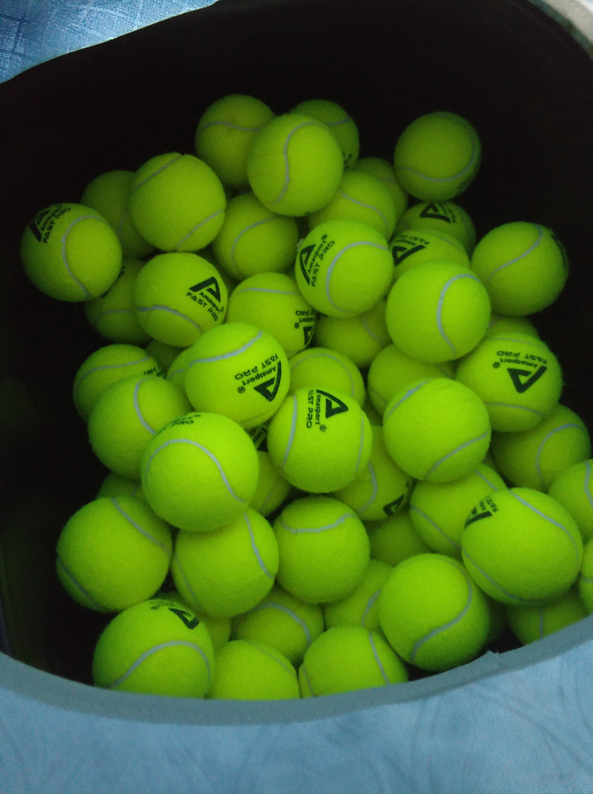 实际行动 实际行动